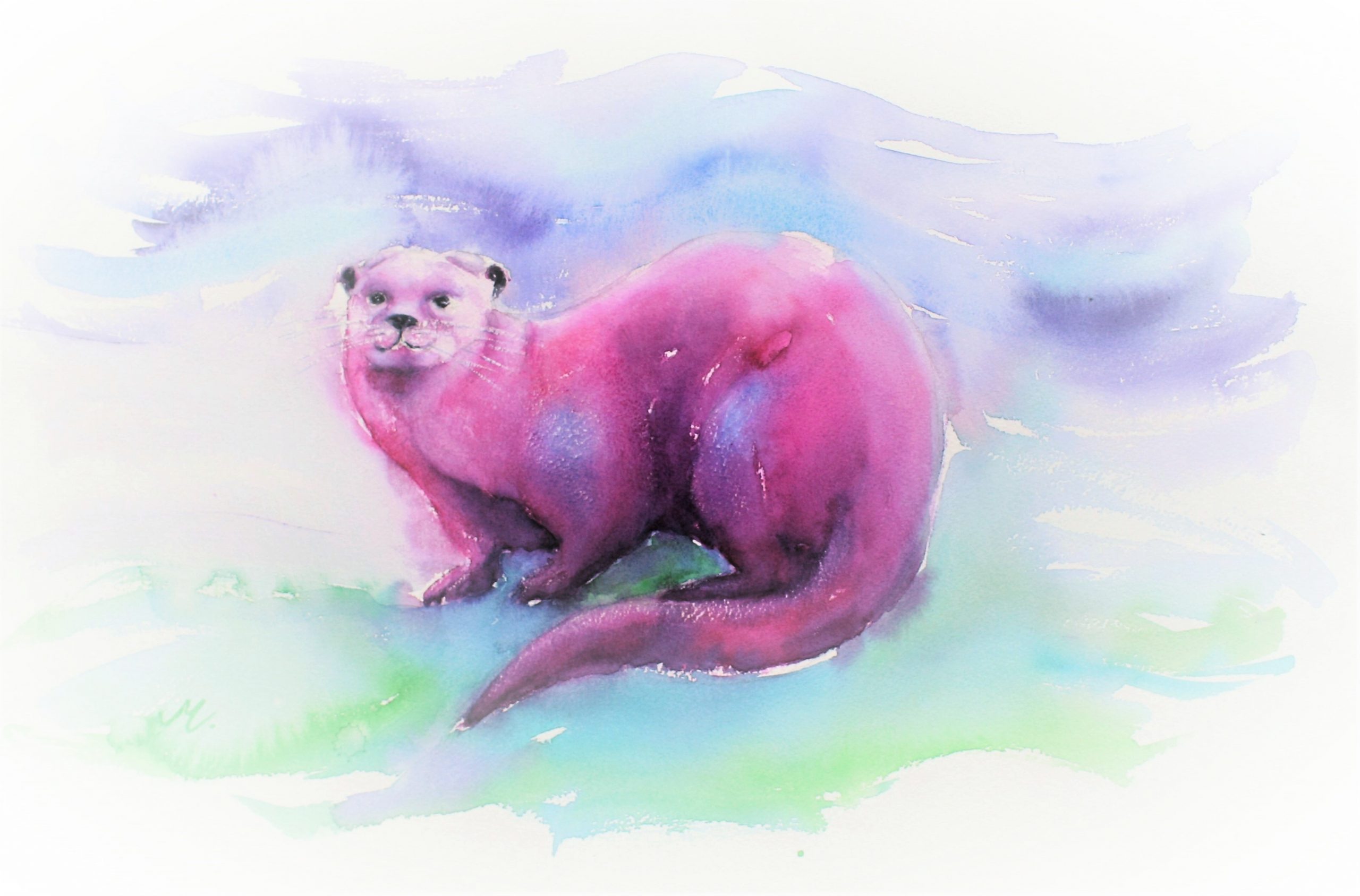 De roze Otter: Vrouwelijk en speelsheid